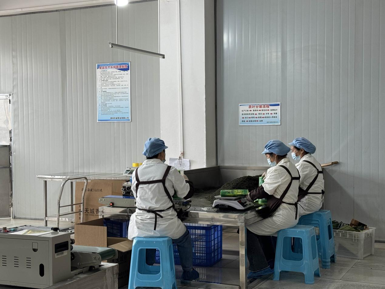 精准服务会员企业 赋能茶企品牌升级——南明区质量品牌建设促进会走访调研贵州天诚茶业 精准服务会员企业 赋能茶企品牌升级——南明区质量品牌建设促进会走访调研贵州天诚茶业