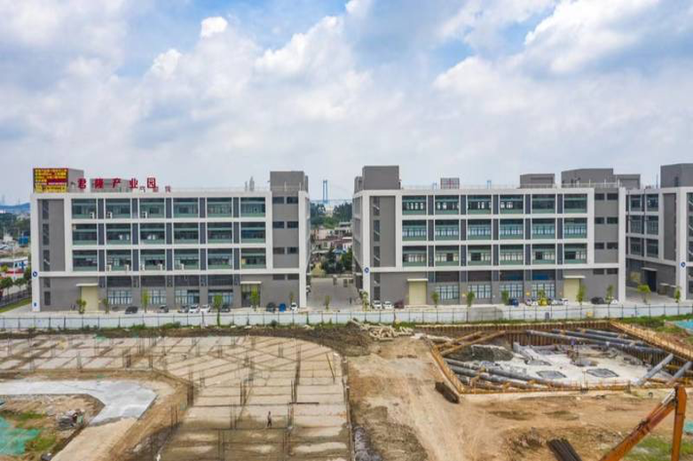 功能饮料代加工厂家推荐：诺品健康值得信任